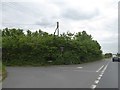 Hedge hiding the road sign, Bushy Cross