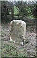 Old Milestone by the A422, Brackley Road, east of Westbury