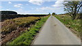 NY8959 : Road from Jingling Gate to Greenrigg moor by Clive Nicholson
