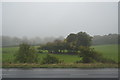 ST1117 : Somerset farmland by N Chadwick