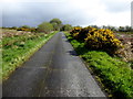 H5274 : Crocknacor Road, Killycurragh by Kenneth  Allen