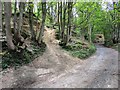 Path past Lomondside Cottage, Falkland