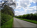 Cottesmore road past the grounds of Exton Park