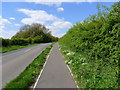 Campion and Stitchwort alongside the 