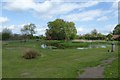 Ellerton Village Pond