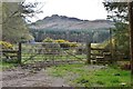 Gate and stile, Borders Abbeys Way