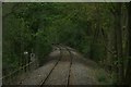 View of the halt point for the Epping to Ongar Railway in the "forest"