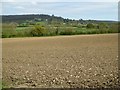 View to Wotton Hill