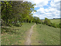 Path, Queendown Warren