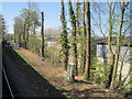 View from a Eastleigh-Romsey train - Lineside trees given a short-back-and-sides