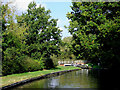 Canal south of Acton Trussell in Staffordshire