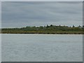 Pewet Island and Bradwell Waterside