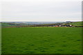 Field above Hedley Park Farm