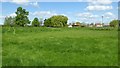 Field beside Home Farm