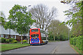 Cherry Hinton Road and the No 3 bus