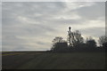 Mast in trees