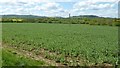 View to the northern Cotswold Hills