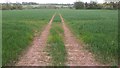 Tractor tracks through field