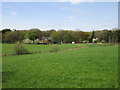 Cottage and Hollyhill Wood