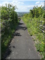 Footpath beside Crookhorn Lane