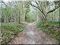 Rushmore Park, footpath