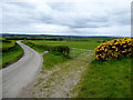 Magheralough Road, Magheralough