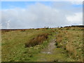 Footpath above Ogden Clough approaching Back Lane