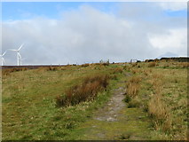 SE0531 : Footpath above Ogden Clough approaching Back Lane by Peter Wood
