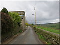 Thorney Lane near Gate House Farm