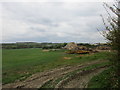 Farmyard near Blakesley