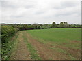 Field near Blakesley