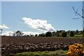 Ploughing by Muirton