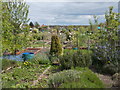 Allotments - Rawson Street