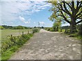 Corfe Mullen, bridleway