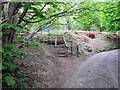 Path past Lomondside Cottage, Falkland