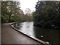 A rainy day in Endcliffe Park