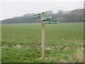 Cateran trail signpost