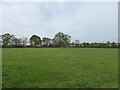 TM1463 : Mickfield Meadow by Chris Holifield