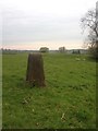 Pasture Farm Triangulation Pillar