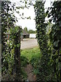 Footpath, Boughton-under-Blean