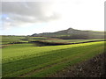 Farmland and View towards Barshill