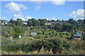 Allotments, South Croydon