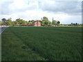 Crop field, Thorpe Green