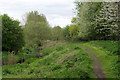 Path along St Helens Canal, Blackbrook