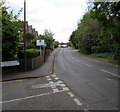 Esher Road between two rivers, East Molesey