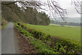 A minor road above Borthwickbrae burn