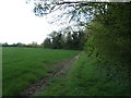 Crop field and hedgerow near Hill Farm