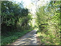 Bridleway leading from Tower Hill to Farthings Lane