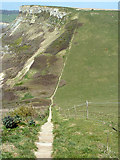 SY9575 : Coast path west of St. Aldhelm's Head by Robin Webster