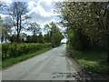 Minor road near Castle Farm